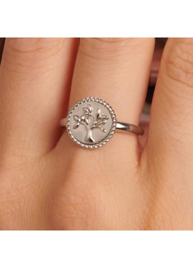 Anello Brosway Chakra BHKR001 indossato