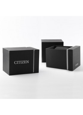 Confezione Citizen per orologio