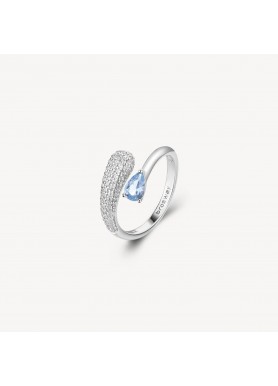 Fancy Anello Argento e...