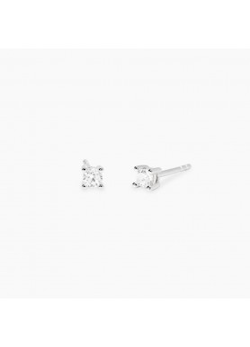 Orecchini in Argento e...