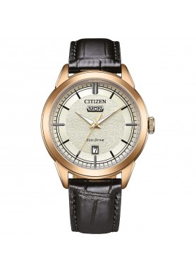 Orologio Uomo Citizen OF...