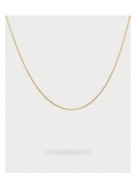 Collana Rue des Mille Charm Bar Basic Chain Long dorata