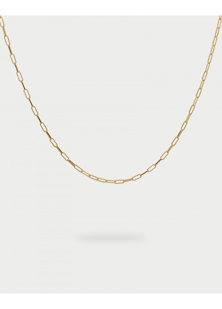 Collana Rue des Mille Charm Bar Link Chain dorata
