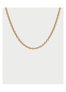 Collana Rue des Mille Charm Bar Flow 40 cm dorata