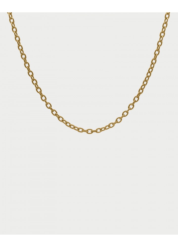 Collana Rue des Mille Charm Bar Flow 40 cm dorata